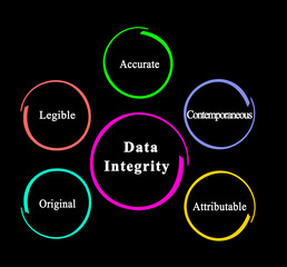 Five Properties Bound with Data Integrity