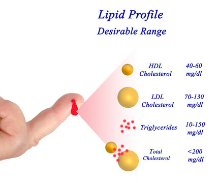 Desirable range of Lipid profile