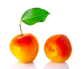 Apricot  isolated on white background