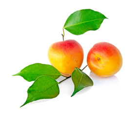 Apricot  isolated on white background