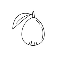 Medlar fruit icon in line style icon, isolated on white background