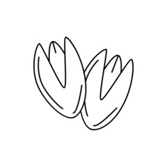 Pistachio nuts icon in line style icon, isolated on white background