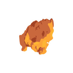 Fried chicken vector illustration isolated
