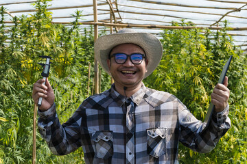 Happy Asian Cannabis workers holding vernier calipers and tablet in Cannabis research farm, man...