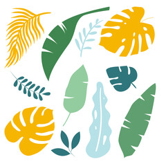 Vector hand drawn set of tropical leaves. Monstera, banana leaves, branches. Clipart set on a white background.