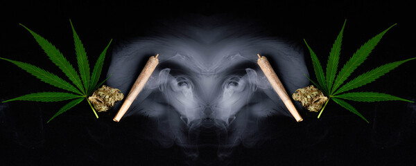 marijuana cannabis joint and smoke in black background