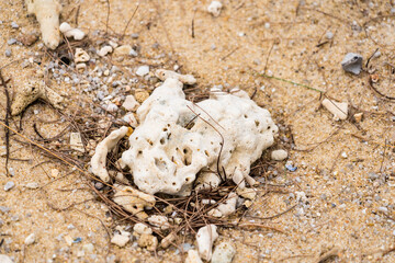 Coral reef at sea shore, A white sands beach Thailand.
