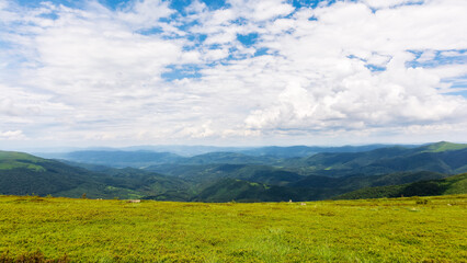 green landscape in dappled light. grassy hills of carpathian mountain scenery on a sunny day. sky with clouds above horizon