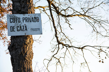 Hunting sign in Spanish hung in a tree with brachnes in the sunset