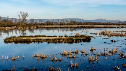 Landscape in Salburua (Vitoria-Gasteiz)
