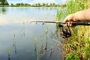 Close-up of the hands of a young fisherman holding a fishing rod on the shore of a lake on a summer sunny day outdoors. Catch carp, bream, crucian carp, perch, roach, perch, bleak, chebak.  