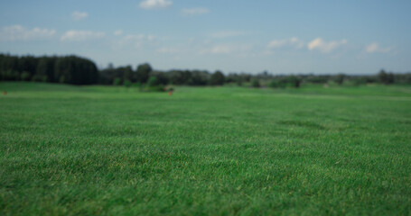 Fototapeta premium Golf course landscape view at country club. Grass fairway on summer sunny day.