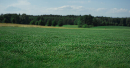 Obraz premium Green golf course grass growing on fairway field. Tranquil landscape concept.