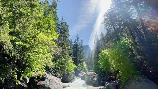 A beautiful scene of a small river on a trail in Yosemite National Park. The clean water flows calmly down rocks between several vibrant trees on a sunny spring day. A medium pan down from the sky.