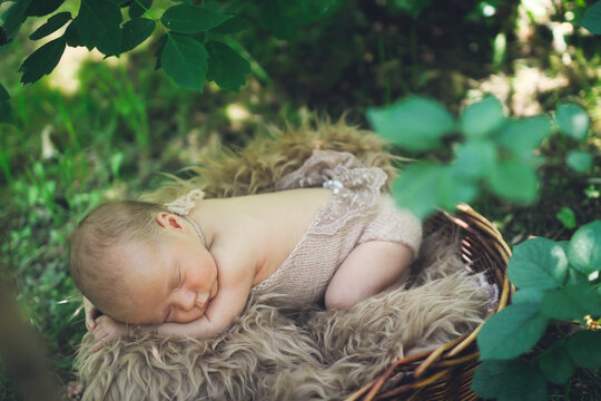 Newborn baby in basket outside among grass, photographing newborn in park in summer.