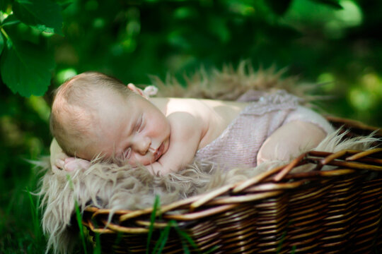 Newborn baby in basket outside among grass, photographing newborn in park in summer.