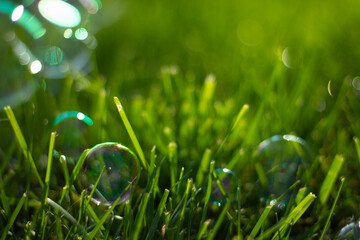 closeup grass and popping bubbles