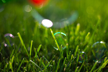 closeup grass and popping bubbles