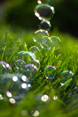 closeup grass and popping bubbles