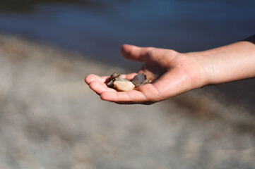handful of seeds