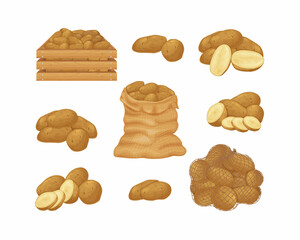Potato. Image of potatoes in a bag, a box and a mesh bag. Sliced potatoes. Fresh vegetables from the garden. Organic vegetarian products.Vector
