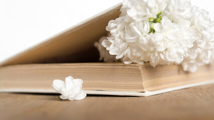 white flowers and white book on wooden background	