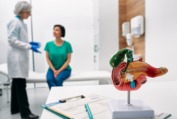 Gastroenterology consultation. Anatomical model of pancreas on doctor table over background gastroenterologist consulting woman patient with gastrointestinal disorders - obrazy, fototapety, plakaty