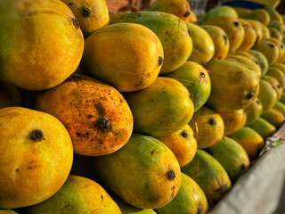 mangoes in group looking beautiful 