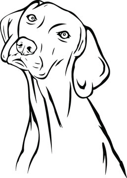 Hand drawing line art portrait illustrations of and cute dog 