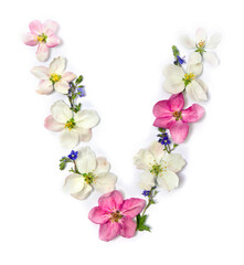 Letter V of flowers apple tree and blue wildflowers forget-me-nots on white background. Top view, flat lay