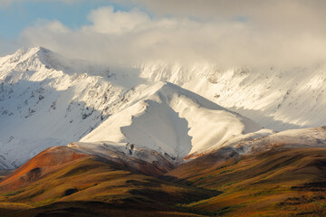 Herfst in Denali National Park Alaska  bergen bedekt met vers gevallen sneeuw.