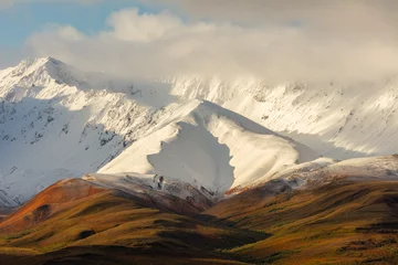 Deurstickers Denali Herfst in Denali National Park Alaska  bergen bedekt met vers gevallen sneeuw.