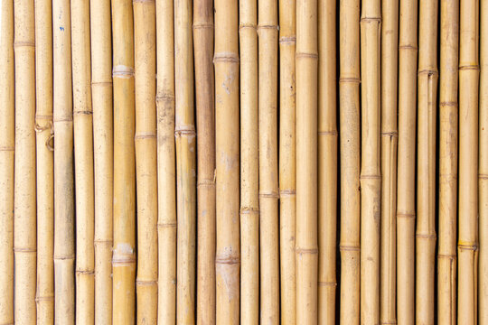 The Bamboo trunks surface