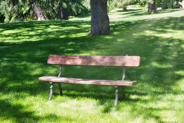 Nice bench in a park on a sunny day.