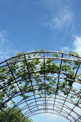 Front view on brown metal forging pergola above blue sky with beautiful clouds on sunny summer day vertical view