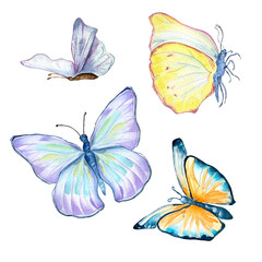 Set of glassland butterflies watercolor on white background