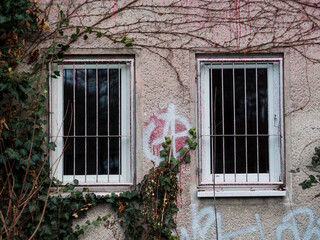 Overgrown facade with Anarchy Graffiti 