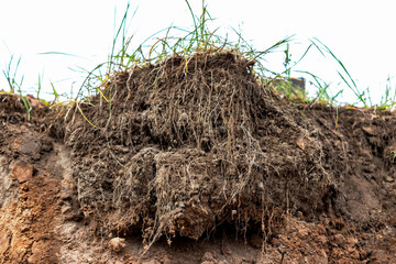 Fototapeta premium Soil on the ground as texture and background.