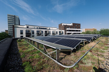 Green roof photovoltaics