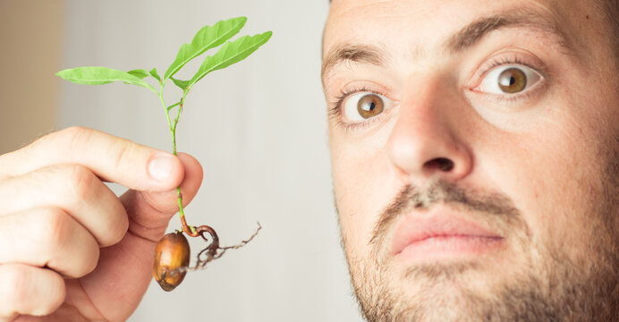 bearded man holding an oak sprout