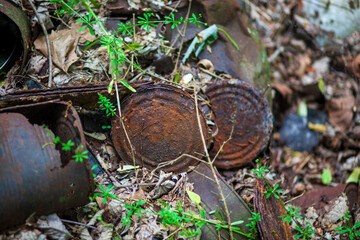 Naklejka na ściany i meble Old rusty metal cans and barrels in the forest with lush green leaves and over growth.. Photographer Derek Broussard
