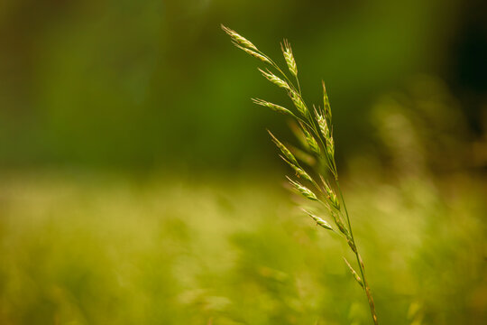 「Derek」の画像 276 件の Stock 写真、ベクターおよびビデオ Adobe Stock
