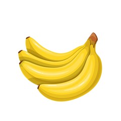 Bunch of bananas for healthy snacks yellow color vector illustration. Exotic tropical banana fruit cluster in cartoon style, isolated