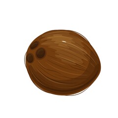 Whole Coconut vector illustration