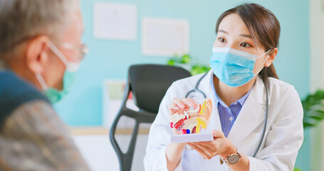 doctor show ear canal model © ryanking999