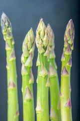 Fresh asparagus shoot over dark background