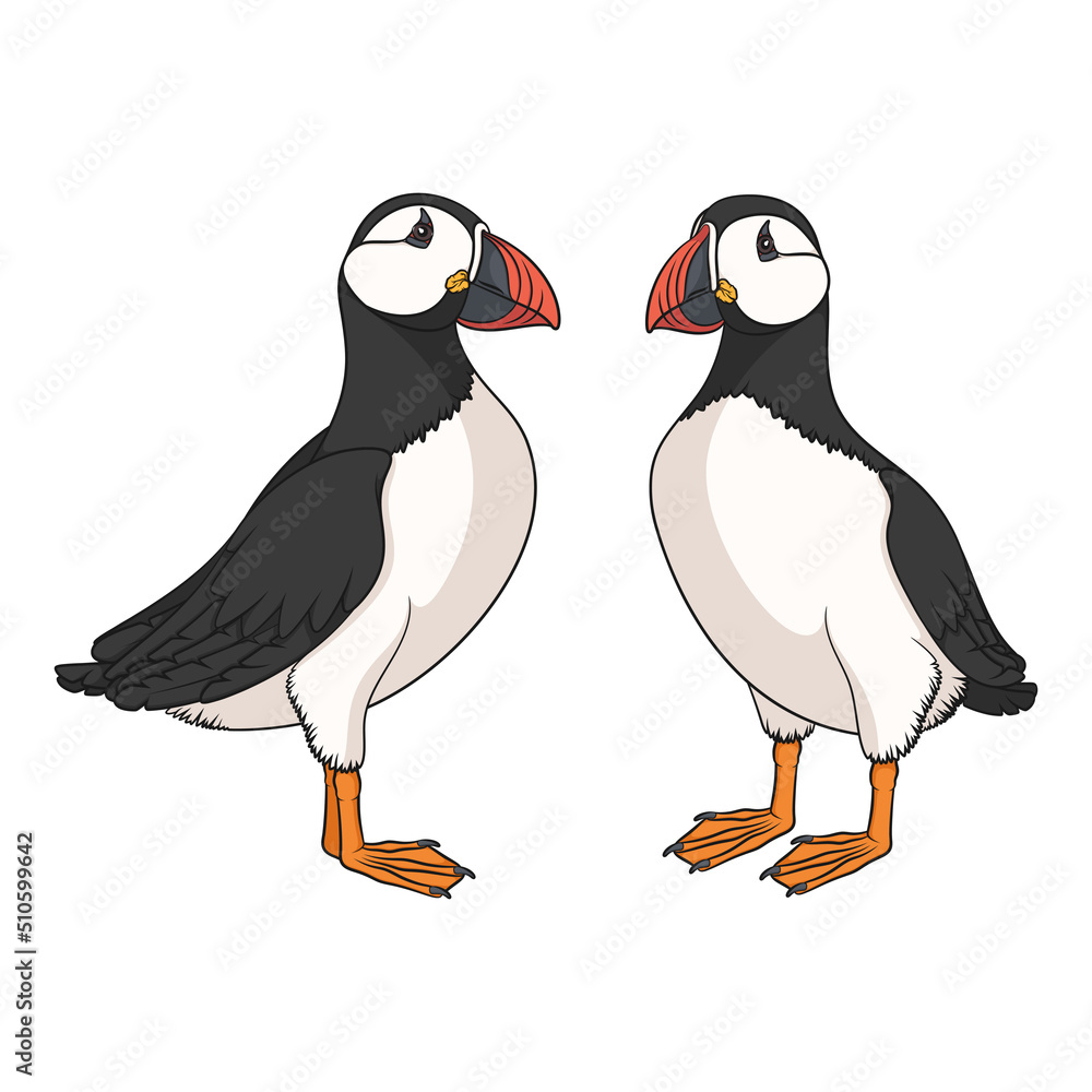 Aufkleber colored set illustrations with puffin bird. isolated vector objects on a white background.