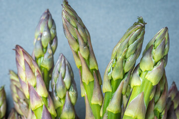 Bunch of fresh asparagus shoots closeup