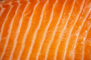 Raw salmon trout fish fillet texture closeup