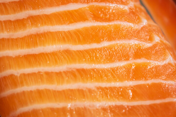 Raw salmon trout fish fillet texture closeup